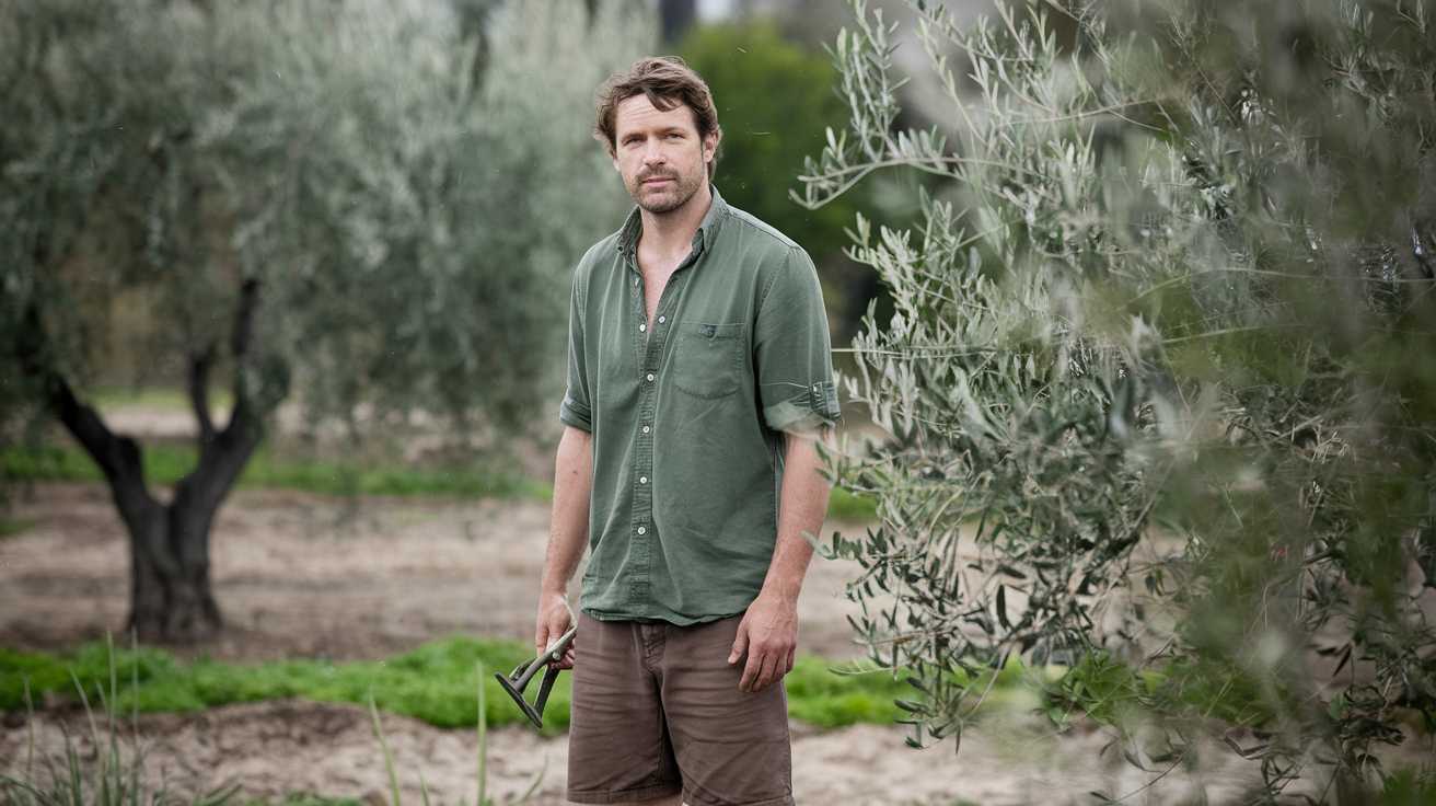 Comment tailler un olivier correctement ?